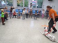 IMG 7529