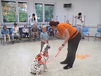 IMG 7533