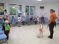 IMG 7535