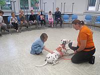 IMG 7537