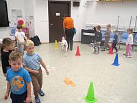 IMG 7549