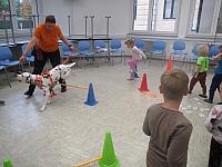 IMG 7556