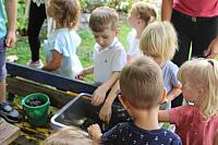 IMG 6879