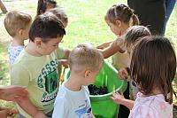 IMG 6881