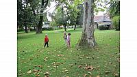 Pedenjpedi, Sovice (5)