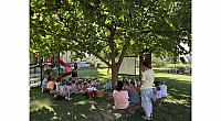 POLETNI KINO (8)