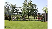 IMG 7842