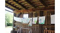 IMG 7856