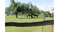 IMG 7863