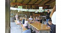 IMG 7922