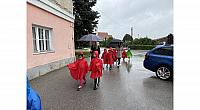 IMG 7169