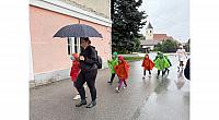 IMG 7170
