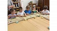 IMG 7178