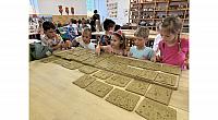 IMG 7195