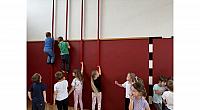 IMG 7230