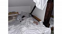 IMG 7292