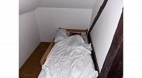 IMG 7295
