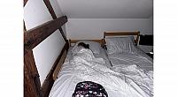 IMG 7300