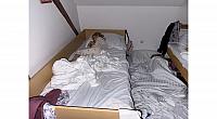 IMG 7301