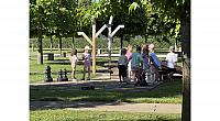 IMG 7309
