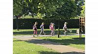 IMG 7310