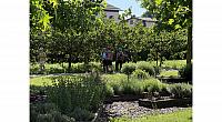 IMG 7311