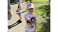 IMG 7312