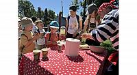 IMG 7341