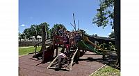 IMG 7347