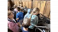 IMG 7117