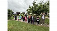 IMG 7124
