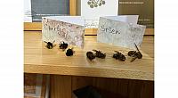 IMG 7130