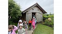 IMG 7133