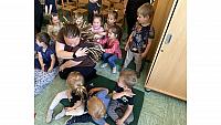 IMG 6491