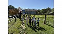 IMG 6785