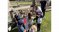 IMG 6789