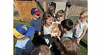 IMG 6790