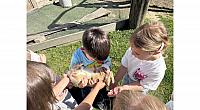 IMG 6792