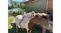 IMG 6801