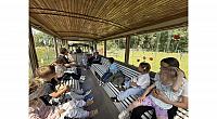 IMG 6854