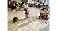 Živali jeseni - razvrščanje (7)