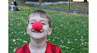 IMG 9215