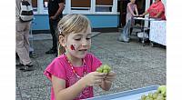 IMG 9254
