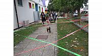 Pedenjpedi (3)