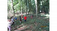 Pedenjpedi (2)