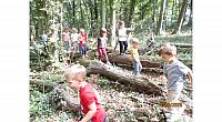 Pedenjpedi (4)