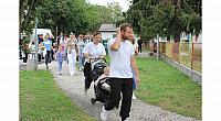 IMG 8618
