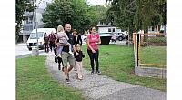 IMG 8631