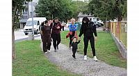 IMG 8633