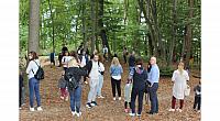 IMG 8683